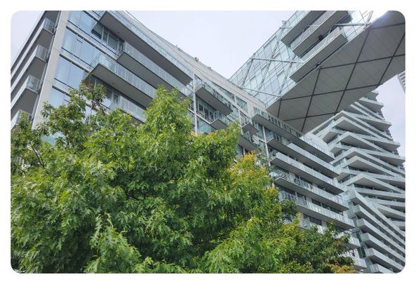 For Lease - 29 QUEENS QUAY N/A Unit# 1123, Toronto, Ontario - Photo 1