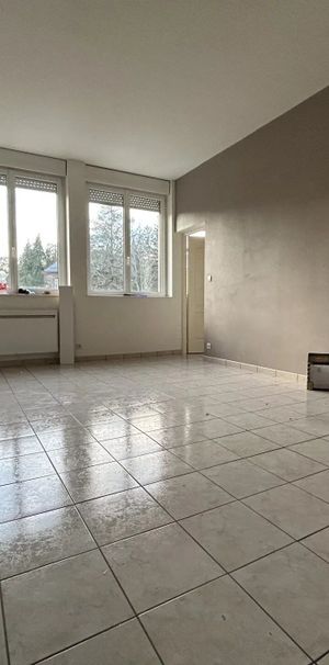 Location Appartement 2 pièces 46 m2 à Saint-Dié-des-Vosges - Photo 1