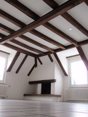 Appartement à louer, Herisauer Str. 88, 9015 Saint-Gall, Suisse, à Saint-Gall, Suisse - Foto 1