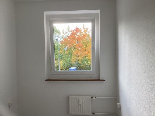 3 Zimmer Wohnung mit Balkon unweit vom Kulkwitzer See! - Foto 1