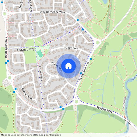 Buttercup Way, Norwich