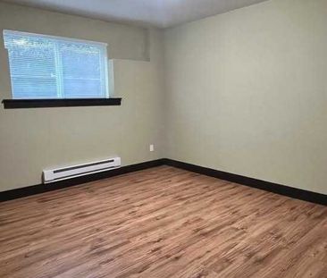 3351 Canary Place apartment — Coquitlam, BC (1-Bedroom) - 1 Bedroom - Photo 1
