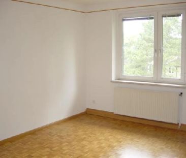 Privatvermietung: perfekte 2-Zimmer-Wohnung in angenehmer Ruhelage - Photo 3