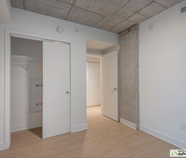 1957, Hunter, Griffintown à louer - Photo 5
