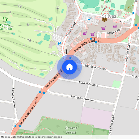 302/161-163 Mona Vale Road, St Ives NSW 2075