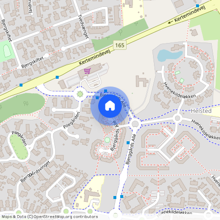 Bjerggårds Allé 21 A, 1., 5240 Odense NØ