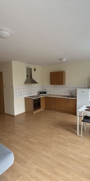 Kawalerka na wynajem, Poznań - Jeżyce 33.4 m² - Photo 1