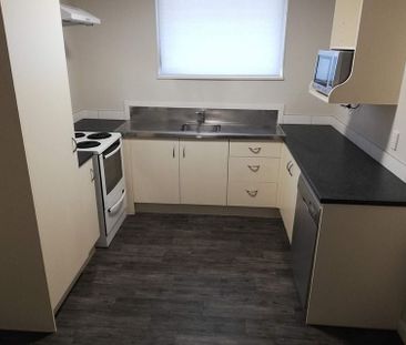 3 Bedroom (+ Study). Renovated & fully fenced - Photo 4