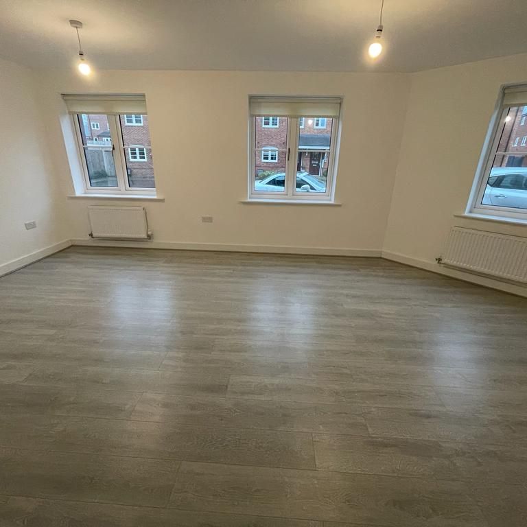 The Newton - Photo 1