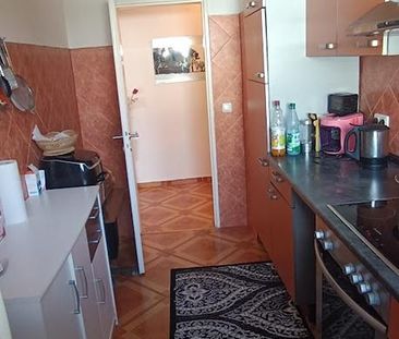 <h1 class="md:text-xl md:leading-6 mt-4 md:mt-10 lg:mb-6 mb-3 text-... - Photo 5