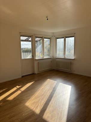 Paradisgatan, Lammhult - Foto 1