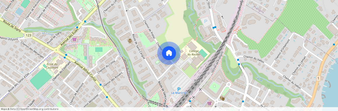 chemin de Prélaz 17, 1260 Nyon