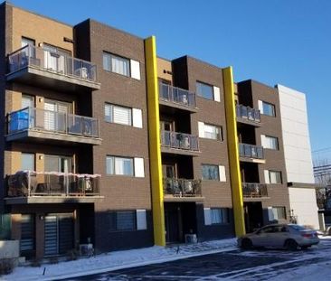 1 CH - 1 SDB - Longueuil - $1,650 /mo - Photo 2