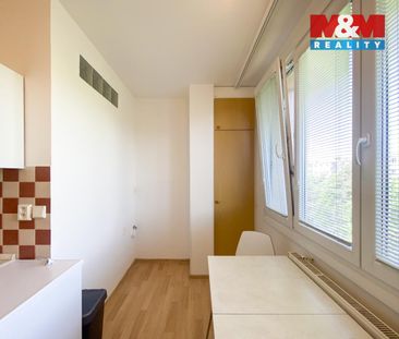 Pronájem bytu 2+1 65 m², Seidlova 469, Praha - Photo 4