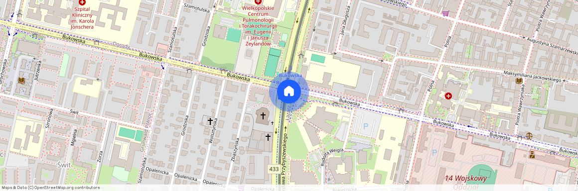 ul. Stanisława Przybyszewskiego, Grunwald, Grunwald, Poznań, wielkopolskie