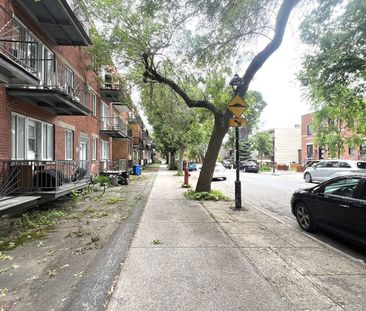 6600 Rue Mazarin Montréal (Le Sud-Ouest), QC H4E - Photo 4
