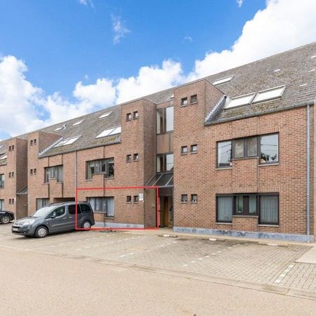 Gelijkvloers appartement met 2 slpkms, autostaanplaats en private berging - Photo 2