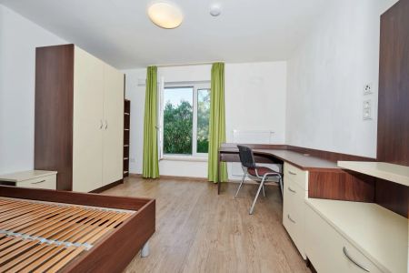 Modernes 1-Zimmer-Appartement in Deggendorffür Studenten - Photo 4