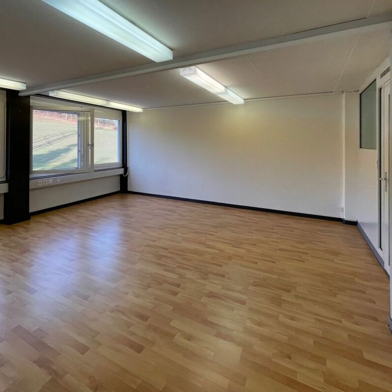 Lohwisstrasse 32, 8123 Ebmatingen - Foto 1