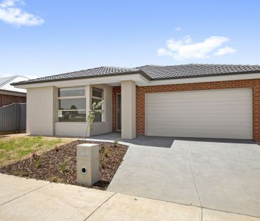 5 Offaly Street, Alfredton - Photo 5