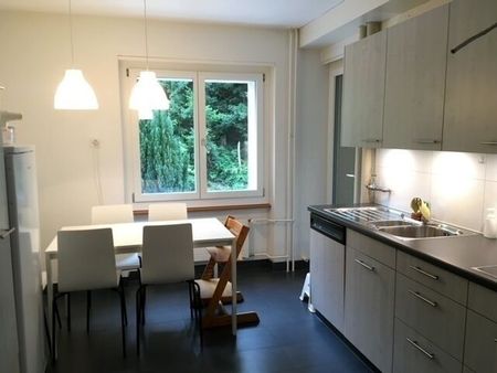 APPARTEMENT DE 3 PIÈCES À LUCERNE, MEUBLÉ, TEMPORAIRE - Photo 5