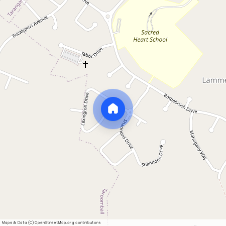 62 Lexington Drive, Qld 4703, Lammermoor