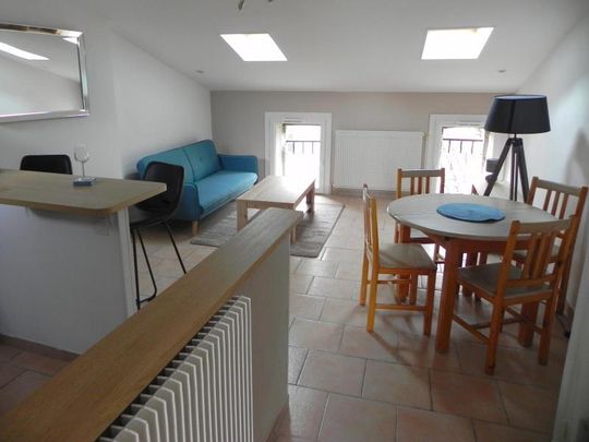 Location Appartement 2 pièces 36m² MILLAU 12100 - Photo 1