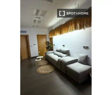 Ador - Foto 3