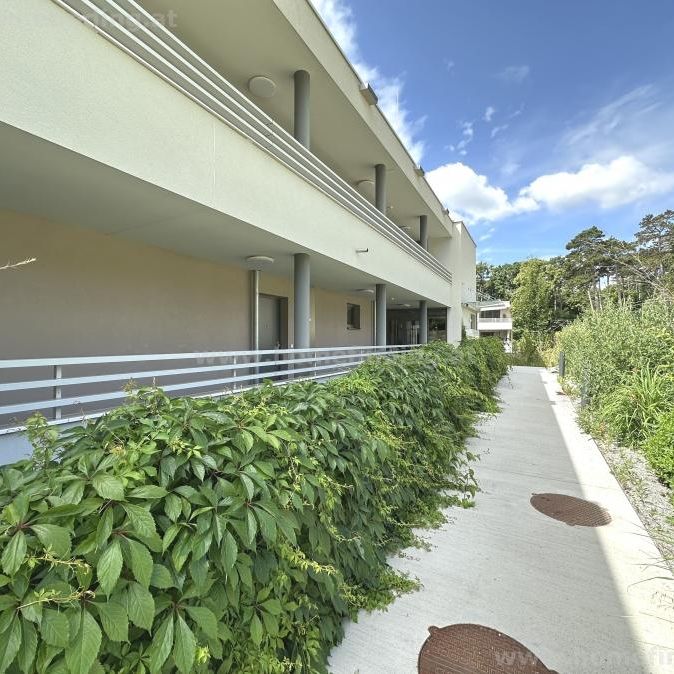 mit Grünblick: westseitige Loggia/Balkon, Garage möglich - befristet - Photo 1