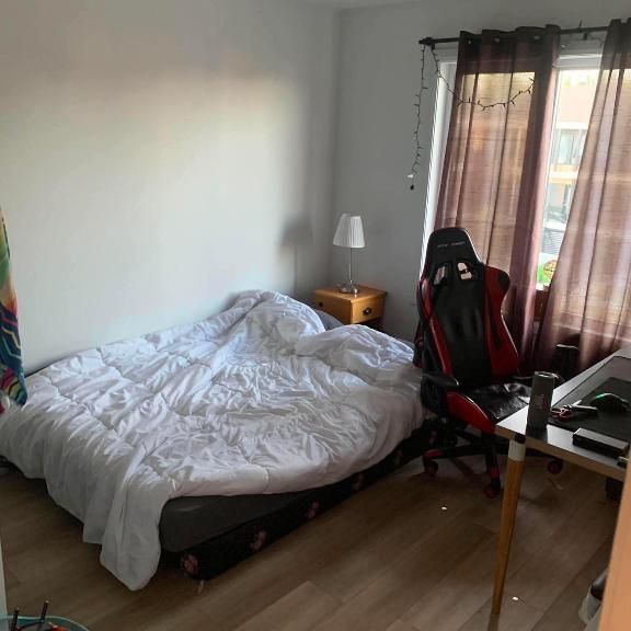 Appartement à louer rue Saindon, Levis - Photo 1