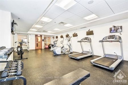 For Lease - 195 BESSERER Street Unit# 805, Lower Town - Sandy Hill, Ontario - Photo 5