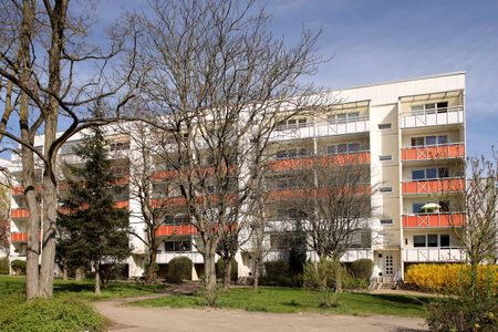 Einfach genial ... in der 1. Etage! - Photo 4