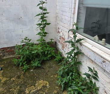 A Captivating Houseshare share for Rent in Hartlepool Room 3 - Photo 5