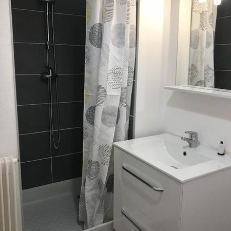 Location Appartement 1 pièce 20m² - Photo 3