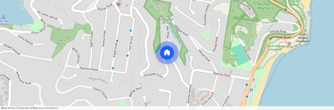 35 Grandview Drive, NSW 2106, Newport