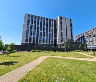 2 bedroom ground floor flat to rent - Photo 1