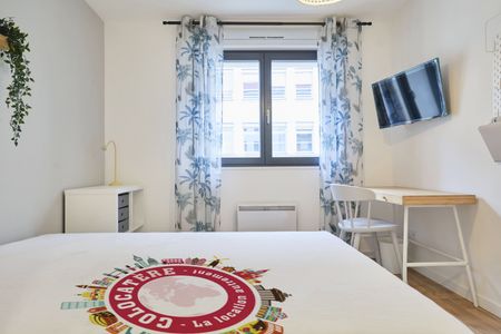 JARDINIERS C11 Colocation 3 chambres à Nancy - Photo 3