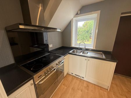 4 bedroom semi-detached house to rent - Photo 5