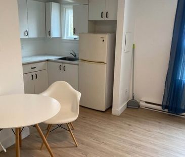 Appartements 1 1/2 à Louer Mont-Bellevue - Photo 2