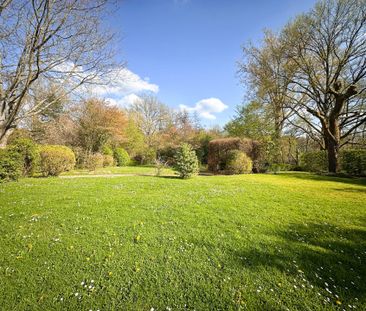 1380, Lasne - Photo 4