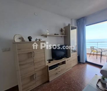 Apartamento en alquiler en A-7, 1 - Photo 3