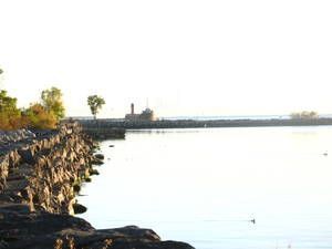 For Lease - 29 Maple Avenue, Mississauga, Ontario - Photo 5