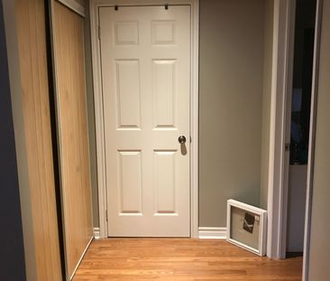 For Lease - 66 Murellen Crescent Unit# Basement, Toronto, Ontario - Photo 2