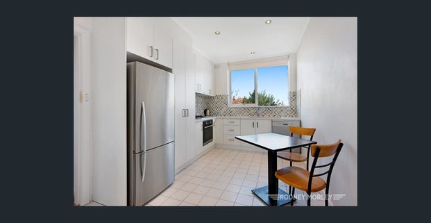 Sunfilled delight - Photo 1