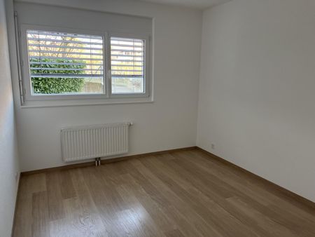 Bel appartement de 3 pièces au rez-de-chaussée avec terrasse et jardin - Photo 5