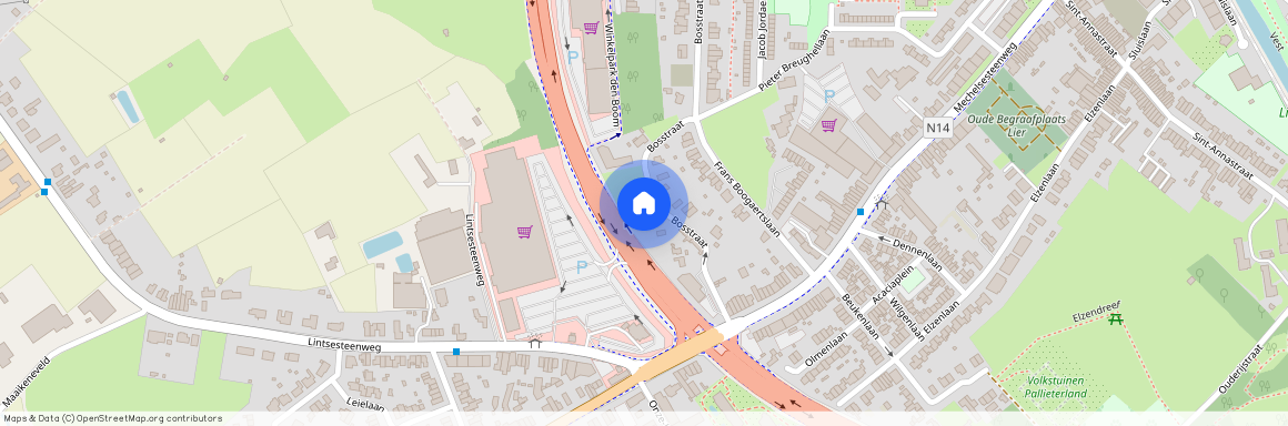 Bosstraat, 21, 6, 2500, Lier