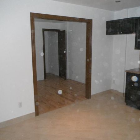 Beau logement près de l petite Italie - Photo 4