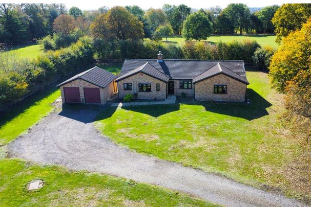 4 bedroom detached bungalow to rent - Photo 1