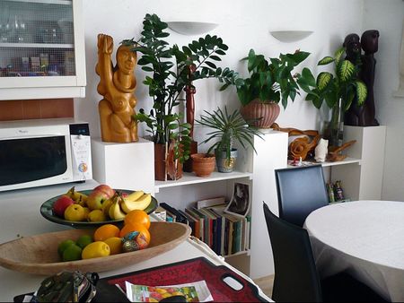 AVIGNON EXTRA MUROS: Beau duplex au calme avec terrasse et parking - Photo 5