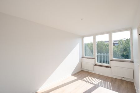 Galileis Gata 5 - Foto 3